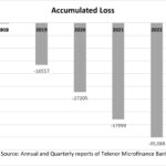 Accumulayed losses