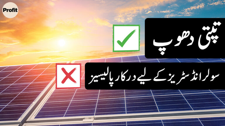 What plagues the solar industry and what can be done about it?