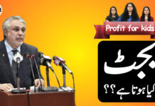 Profit for Kids: What’s a national budget?