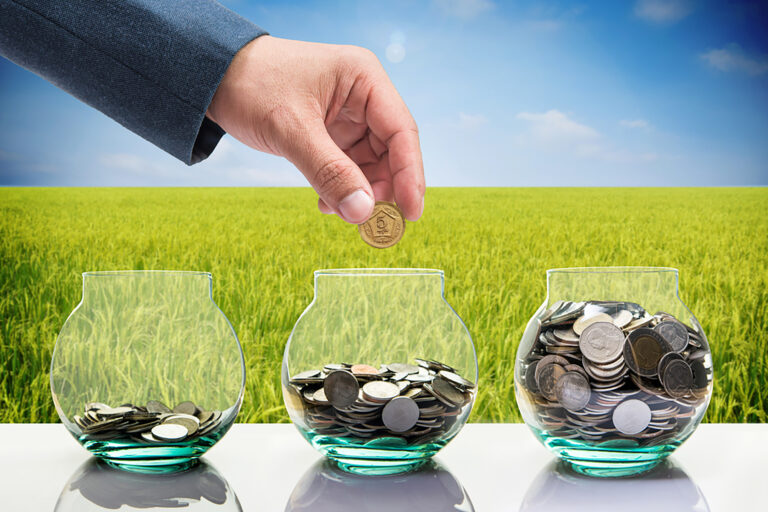 Renting out the agricultural sector