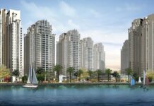 How Creek Marina went from being the next big thing in real estate to 19 acres of nothing