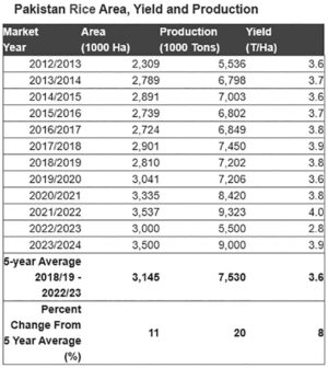 India just banned exporting rice. Should Pakistan step up? - Profit by ...