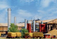 Mirpurkhas Sugar Mills looks towards paper for profit