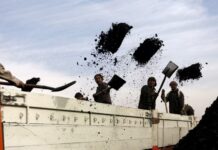 As Afghanistan slashes coal prices again, can cement and power companies profit?Â