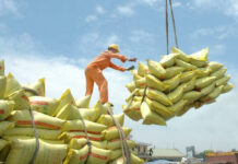 Record-breaking year expected for Pakistan’s rice exports; is that a good thing?