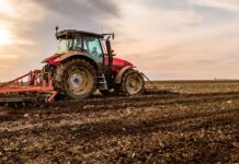 What’s all the fuss about corporate farming?