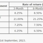 Govt sparks investment frenzy with lucrative NPC rate hikes