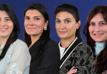 Despite high profits this company’s share price is low. Can it be intentional?