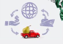 Pakistan’s food exports up by 48% to $5.6bn in 9MFY24