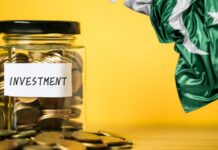 FDI declines 32% in December 2024 despite strong first-half growth