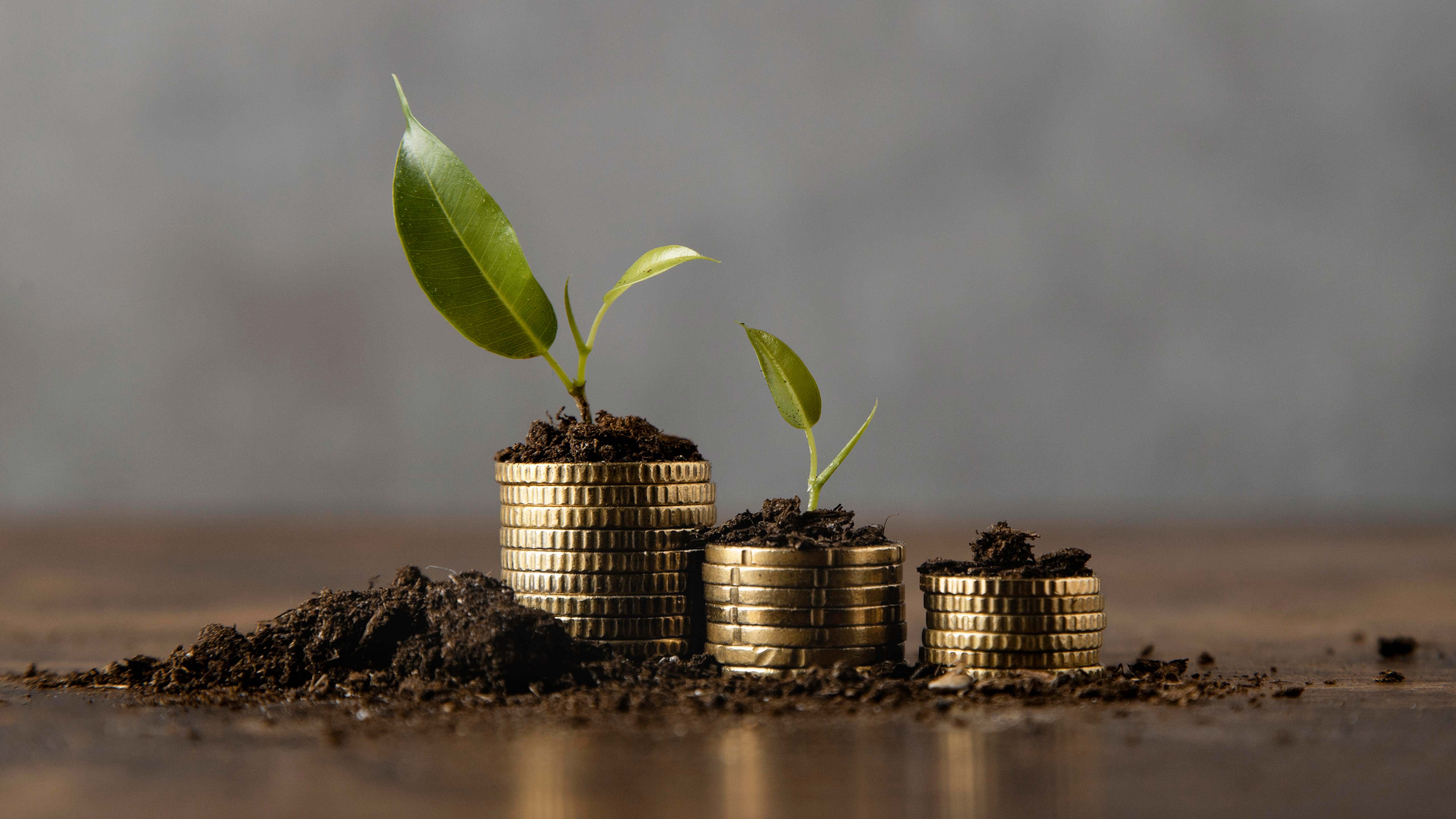 Inside the high returns of the Meezan Sovereign Fund