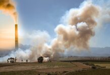 Cars, Coal, and Crop Burning – The Three Cs poisoning Punjab