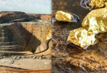 Petroleum Division exempted from PPRA rules for Reko Diq stake sale to Saudi Arabia