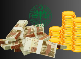 Govt raises Rs900 billion as T-bill yields fall sharply after SBP rate cut