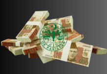 Govt to borrow Rs5.3 trillion via treasury bills to finance budget deficit