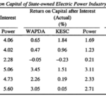 Various Concepts of Return on Capital of State-owned Electric Power Industry in Pakistan (1960-95)