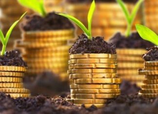 Pakistan’s banking sector exceeds agricultural loan target, disburses Rs2.58 trillion in FY25