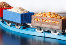 Is the caretaker government about to compromise Pakistan’s agri exports?