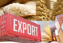 Pakistan’s rice exports see major uptick in FY 2023-24