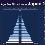 age sex structure