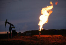 SNGPL opposes allocating 50% of gas discoveries to third parties, stresses ‘level playing field’