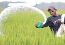 Proposal to increase urea prices by Rs358/bag under consideration