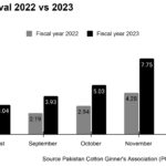 Cotton Arrival 2022 vs 2023