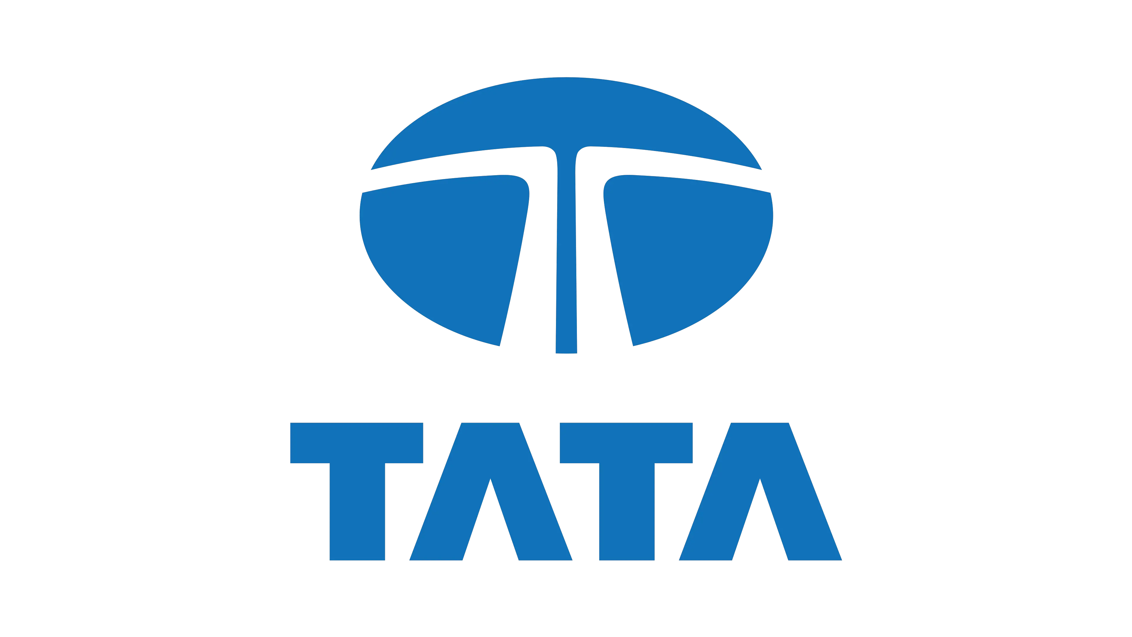 Unprecedented year for Tata, market valuation hits $365bn milestone