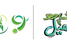 HBLPSL season 9 kicks off: Palat do khel