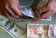 Foreign investment in Pakistan’s equities, t-bills rises to $98m in January