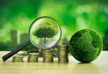 Acumen Pakistan secures $28m anchor funding for a new $90m Climate Fund. How will this help agribusinesses?