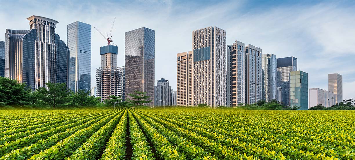 Greedy land developers want Pakistan’s agricultural land. Could the Supreme Court hold the answer?