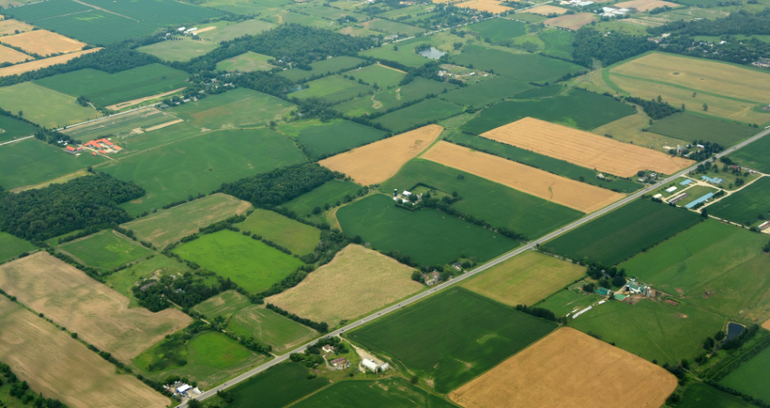 Four PCBL officials arrested in major land fraud case involving state property