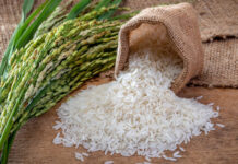 Pakistan’s rice exports surge 19% in first half of FY25, projected to hit $4.5bn