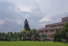 Highnoon Laboratories and the curious (court) case of Related Party Transactions