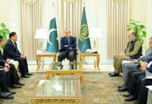 Chinese firm expresses interest in building mineral park in Pakistan