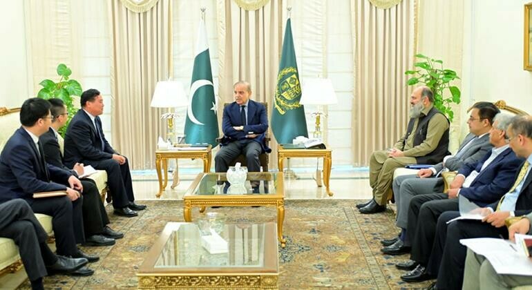 Chinese firm expresses interest in building mineral park in Pakistan