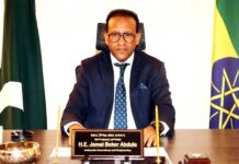 Ethiopia offers 10-year tax break to Pakistani investors