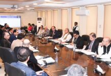 Rs 3.79 tr national development plan set for NEC approval today