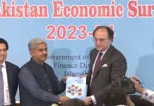 Report card: A day before the budget, Pakistan Economic Survey reveals what went wrong