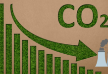 World Bank approves additional $1.5 billion in financing to support India’s low-carbon transition