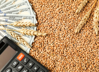 Govt moves to replace PASSCO with Wheat Stocks Management Company with Rs350bn authorised capital