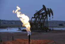 Pakistan teams up with Turkiye, Russia for fresh offshore drilling