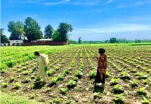 The women breaking cultural barriers in Pakistan