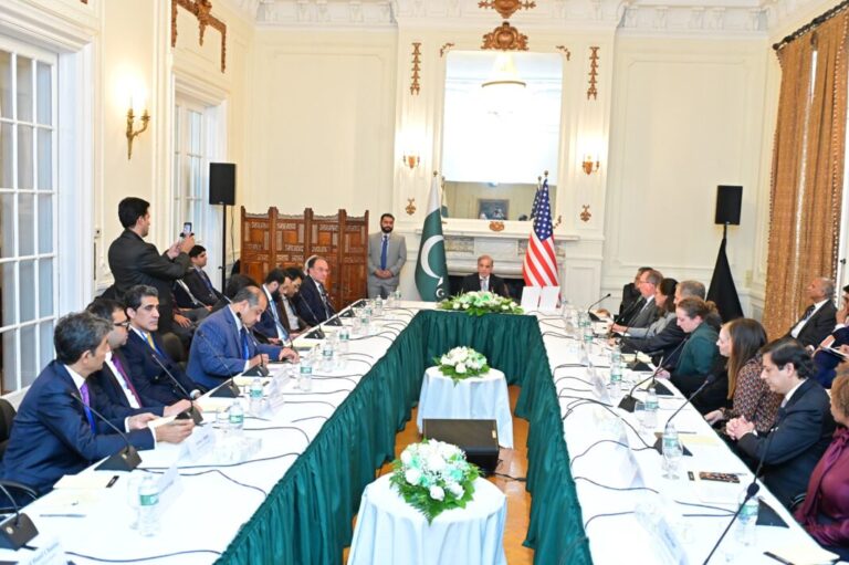 PM Shehbaz calls for enhanced investment, trade ties with the US