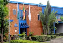 How Packages’ ill-fated South African adventure led to billions in losses