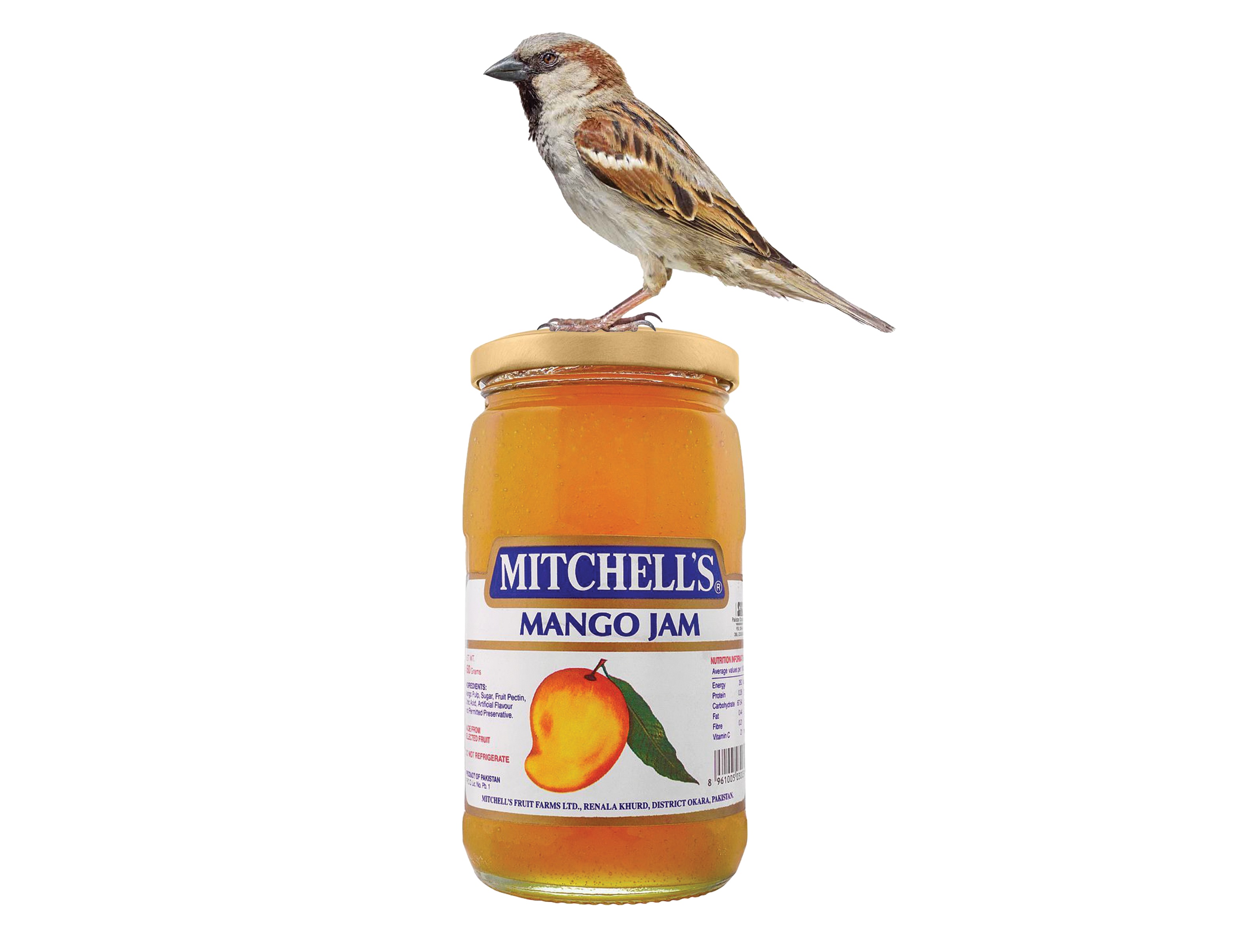 Under Najam Sethi’s watch, Mitchell’s has turned profitable again. How much of the turnaround is his doing?
