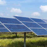 Govt halts solar buyback rate reduction after cabinet pushback