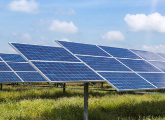 Chinese group to establish solar panel plant in Pakistan with billion-dollar investment