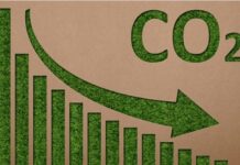 Pakistan needs $390bn investment for low-carbon energy transition by 2050: ADB